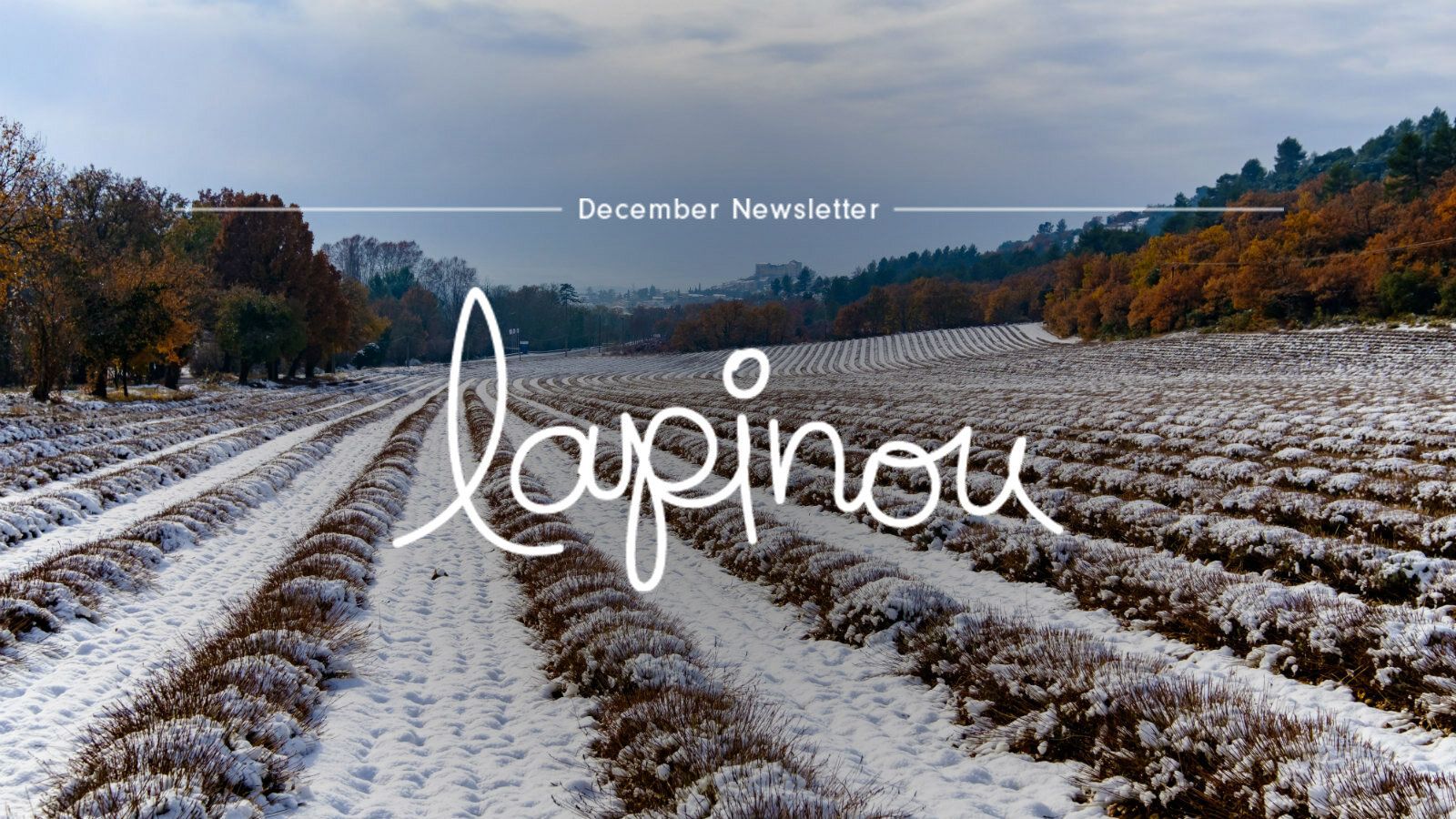 Lapinou December Newsletter