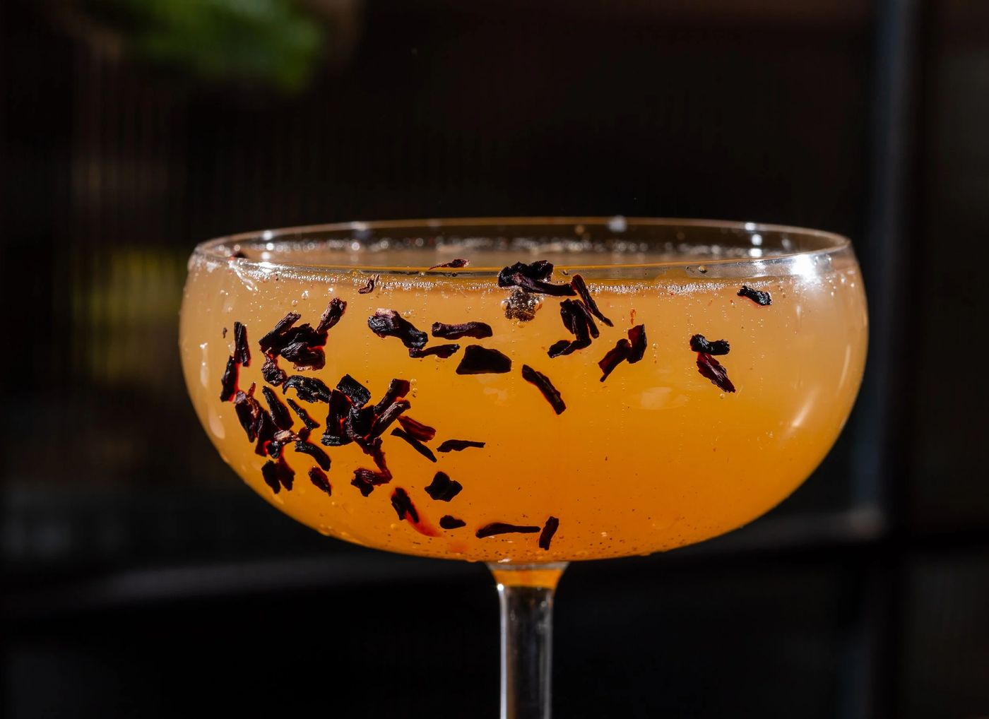 Signature cocktail in a coupe glass at Lapinou Bistro
