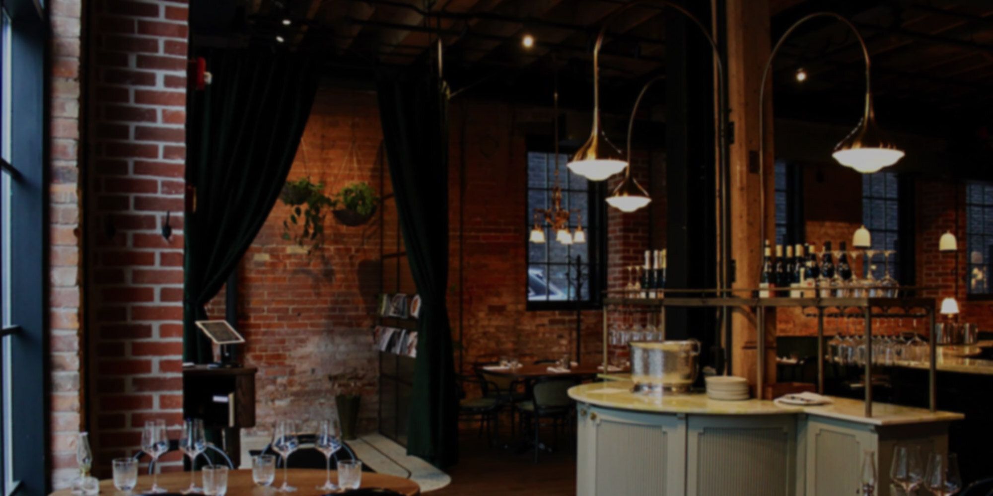 TRNTO feature on Lapinou Bistro
